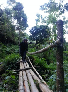 bamboo bridge across a stream
